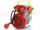 Rover 30 CE - Bronze electric transfer pump - Single-phase - 230V