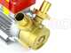 Rover 30 CE - Electric transfer pump in bronze - Single-phase - 230V