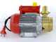 Rover 30 CE - Electric transfer pump in bronze - Single-phase - 230V
