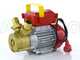 Rover 30 CE - Electric transfer pump in bronze - Single-phase - 230V