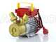 Rover 30 CE - Electric transfer pump in bronze - Single-phase - 230V