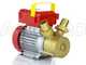 Rover 30 CE - Electric transfer pump in bronze - Single-phase - 230V