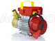 Rover 30 CE - Electric transfer pump in bronze - Single-phase - 230V