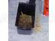 GeoTech GSB50 - Petrol garden shredder - Gasoline engine 6 HP