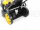 Mowox PM 4645 S Trike - Self-propelled Petrol Lawn Mower - Pivoting Front Wheel