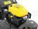 Mowox PM 4645 S Trike - Self-propelled Petrol Lawn Mower - Pivoting Front Wheel