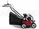 Marina Systems S500H - Professional Lawn Scarifier with Moving Blades - Honda GP160 Engine
