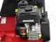 Marina Systems S500B - Heavy-duty Petrol Lawn Scarifier with Swinging Blades - B&amp;S CR950 Engine
