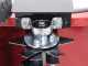 Marina Systems S500B - Heavy-duty Petrol Lawn Scarifier with Swinging Blades - B&amp;S CR950 Engine