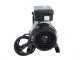 RGV Pommi - Tomato Press with 450 W Electric Motor  - 220 V