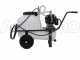 Comet MC 20/20 - Wheeled Sprayer Pump Kit - Single-phase Motor - 50 L