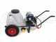Comet MC 25 - Wheeled Sprayer Pump Kit - Single-phase Motor - 80 L