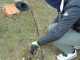 GeoTech Electric Edge Trimmer