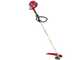 Honda GX 25 I - 4-stroke gasoline brush cutter - Blue Bird rod