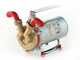 Rover Marina Mini 20 - Bronze electric transfer pump - 12 V