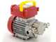 Rover Novax G 20 - Electric transfer pump for oil with antioxidant alloy gears - 0.8 HP