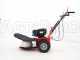 Blue Bird Alhambra Pro Speed - Motor mowers with rotary blades - B&amp;S 850
