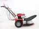 Blue Bird Alhambra Pro Speed - Motor mowers with rotary blades - B&amp;S 850