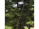 Silky Hayauchi 6300 - KSI 017939N Heavy-duty Pruning Saw on Aluminium Telescopic Pole