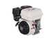 Top Line BIO 500 - Petrol garden shredder - Honda GP 200 engine