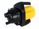 Lavor EG-P 3600 Self-priming Electric Pump for Garden Irrigation - Portable - 1000W