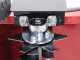 Marina Systems S500 - Heavy-duty Petrol Lawn Scarifier with Swinging Blades - Honda GX 200 Engine
