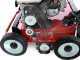 Marina Systems S500 - Heavy-duty Petrol Lawn Scarifier with Swinging Blades - Honda GX 200 Engine