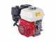 Marina Systems S500 - Heavy-duty Petrol Lawn Scarifier with Swinging Blades - Honda GX 200 Engine