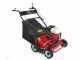 Marina Systems S500 - Heavy-duty Petrol Lawn Scarifier with Swinging Blades - Honda GX 200 Engine