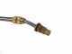 Ausonia - Battery-powered Shoulder Sprayer Pump - 16 L - 5 Bar