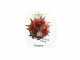 GeoTech PM 300 Hand-push Garden Seeder/Compost Spreader with Roller