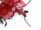 Eurosystems E3-EVO RM - 3.5 HP Petrol Garden Tiller - B&amp;S 450 E Engine