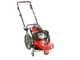 GeoTech DG 58 F - 4-stroke gasoline wheeled push brush cutter