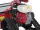 Ginko-MGM TT 786 HD - Professional Hammer Rough Cut Mower - Tracked - Honda GX270 