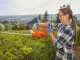 Flymo EasiCut 520 Electric Hedge Trimmer - 500 W