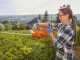 Flymo EasiCut 520 Electric Hedge Trimmer - 500 W