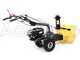 Eurosystems TM 70 RB EVO - Petrol Snowplough - B&amp;S 850 E I/C