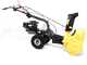 Eurosystems TM 70 RB EVO - Petrol Snowplough - B&amp;S 850 E I/C