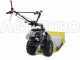 Eurosystems TM 70 RB EVO - Petrol Rough Cut Mower - Blade - B&amp;S 850E I/C