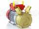 Rover 40 BE-M - Bronze electric transfer pump