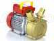 Rover 40 BE-M - Bronze electric transfer pump