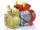 Rover BE-M 40 - Bronze electric transfer pump - Single-phase - 230V