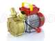 Rover BE-M 40 - Bronze electric transfer pump - Single-phase - 230V
