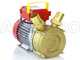 Rover BE-M 40 - Electric transfer pump in bronze - Single-phase - 230V
