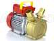 Rover BE-M 40 - Electric transfer pump in bronze - Single-phase - 230V
