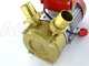 Rover BE-M 40 - Electric transfer pump in bronze - Single-phase - 230V
