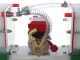 Rover Colombo 36 - Wheeled Wine Carton - Bronze Pump