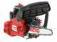 AL-KO BKS 2625 TSB - Petrol Pruning Chainsaw - 25 cm Carving Blade