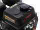Wortex D200/80L - Petrol garden shredder - Loncin 196 cc gasoline engine