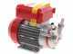 Rover Novax 14-OIL Electric Transfer Pump for Oil in Antioxidant Alloy